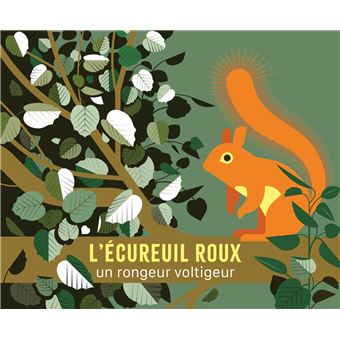 L'écureuil roux L'écureuil roux