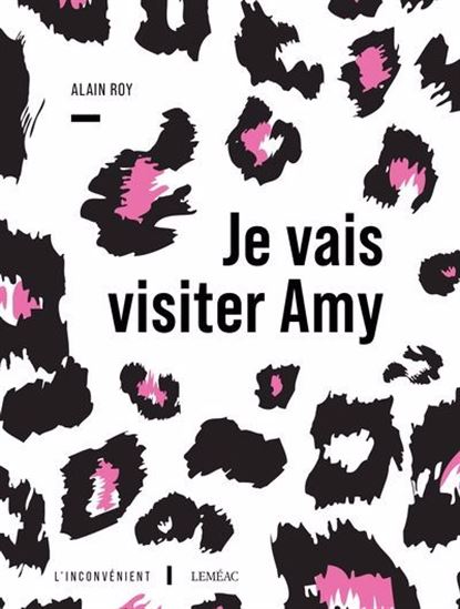 Je vais visiter Amy Je vais visiter Amy