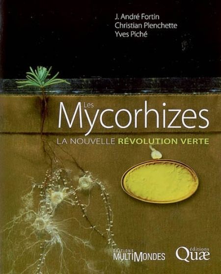 Les mycorhizes Les mycorhizes