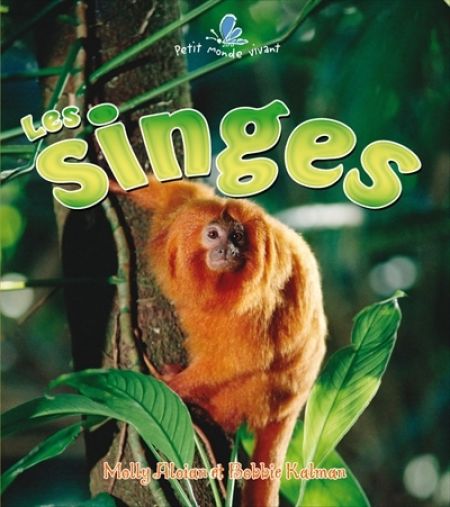 Les Singes Les Singes