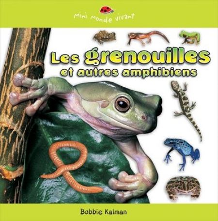 Les grenouilles et autres amphibiens Les grenouilles et autres amphibiens
