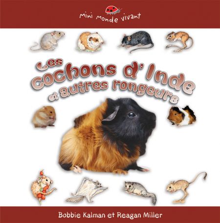 Les cochons d'Inde et autres rongeurs Les cochons d'Inde et autres rongeurs