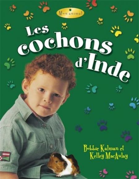 Les cochons d'inde Les cochons d'inde
