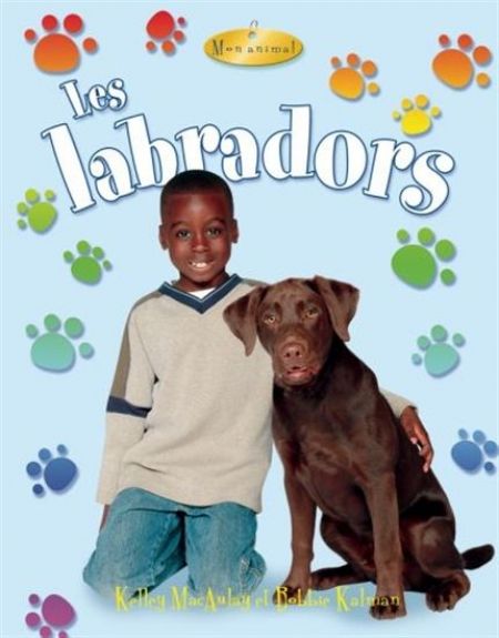 Les labradors Les labradors