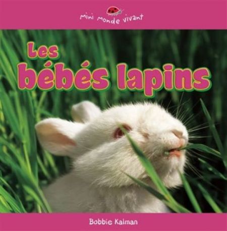 Les bébés lapins Les bébés lapins