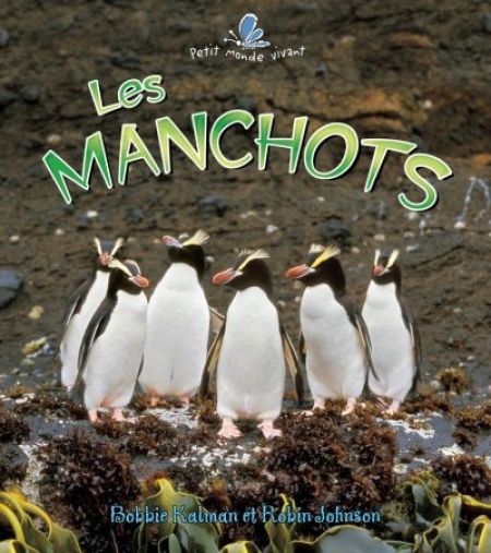 Les manchots Les manchots