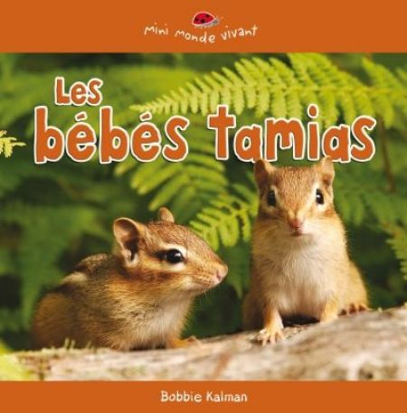 Les bébés tamias Les bébés tamias