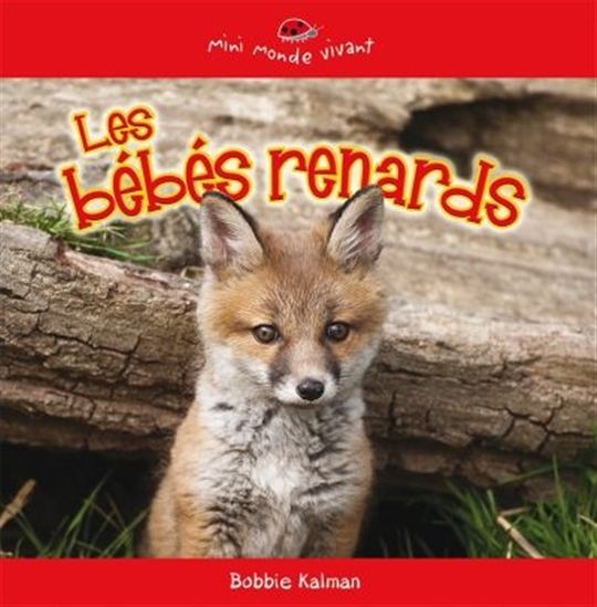 Les bébés renards Les bébés renards