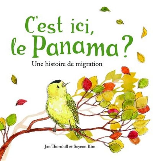 C'est ici, le Panama ? Une histoire de migration C'est ici, le Panama ? Une histoire de migration