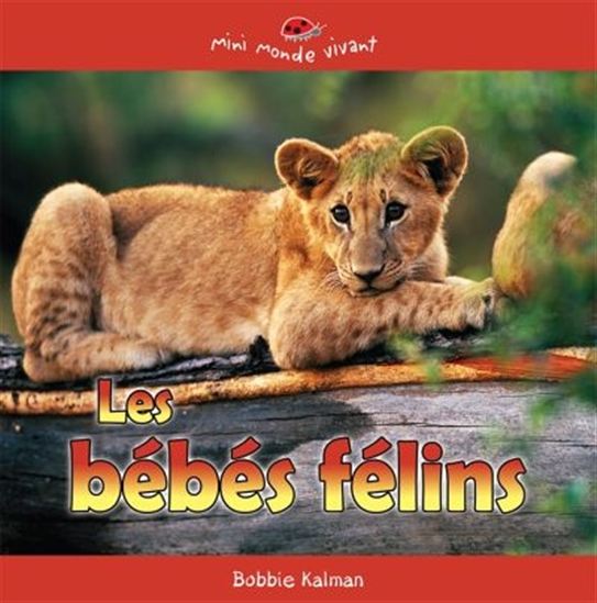 Les bébés félins Les bébés félins