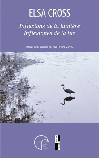 Inflexions de la lumière / Inflexiones de la luz Inflexions de la lumière / Inflexiones de la luz