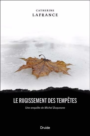 Le rugissement des tempêtes. Une enquête de Michel Duquesne Le rugissement des tempêtes. Une enquête de Michel Duquesne