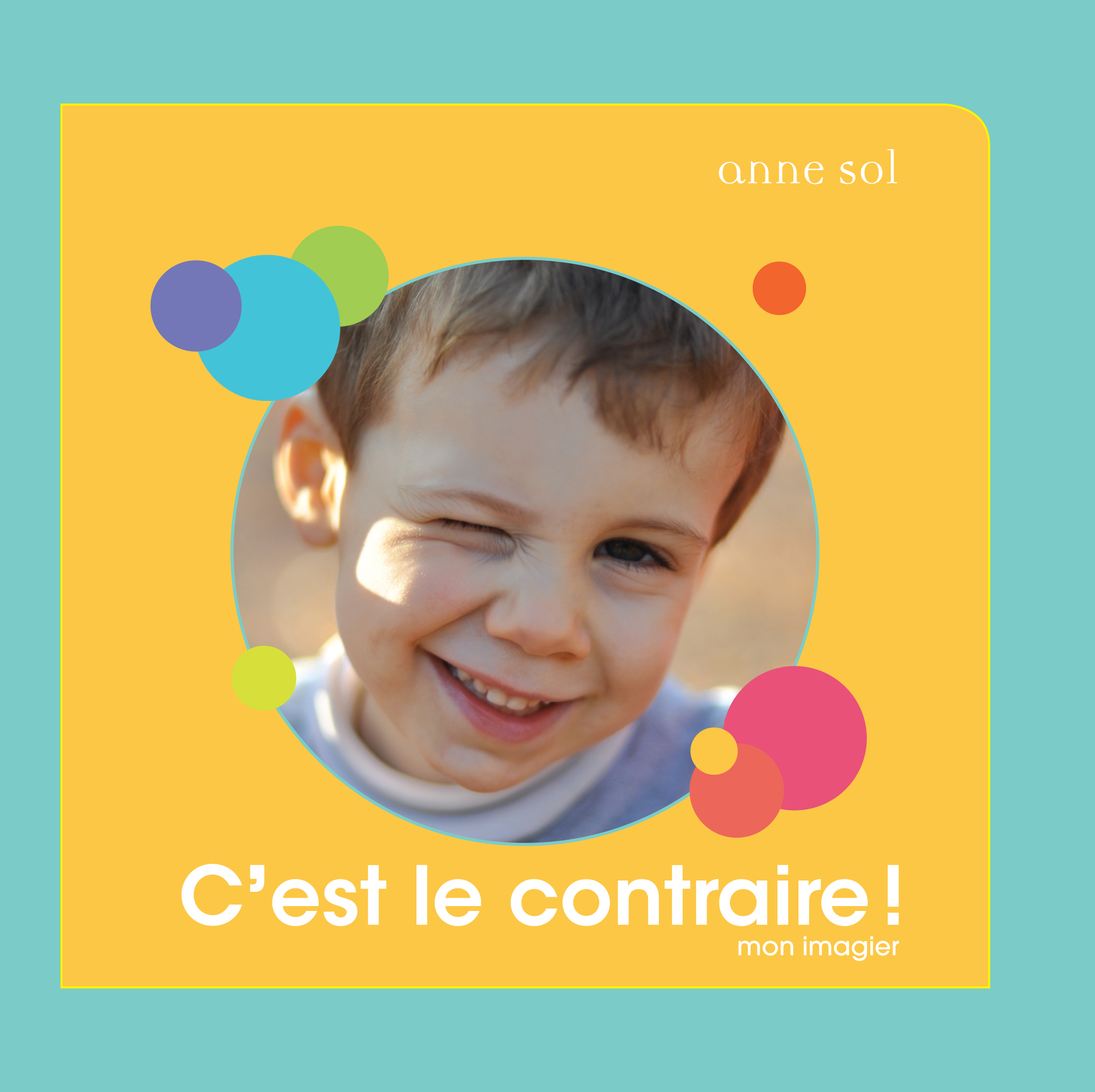 C'est le contraire : mon imagier C'est le contraire : mon imagier