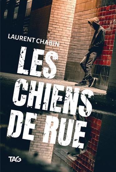Les chiens de rue Les chiens de rue