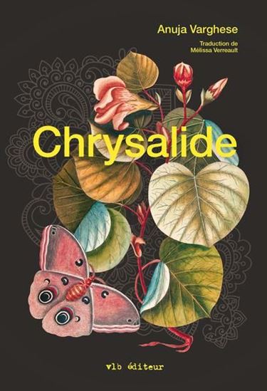Chrysalide Chrysalide