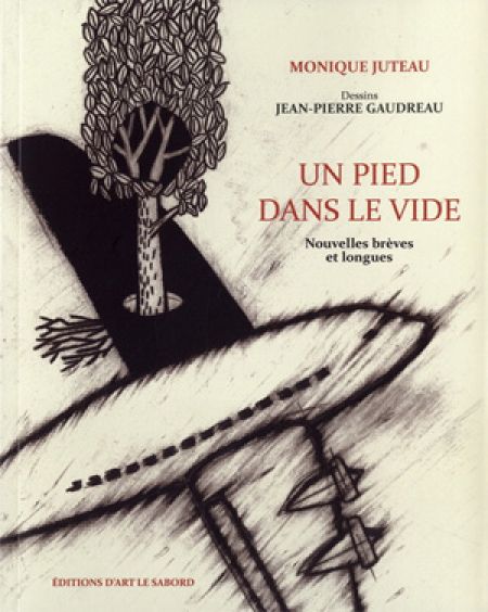 Un pied dans le vide Un pied dans le vide