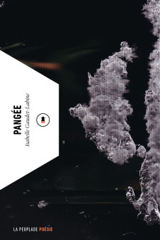 Pangée Pangée