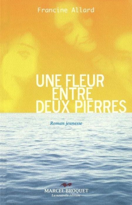 Une fleur entre deux pierres Une fleur entre deux pierres