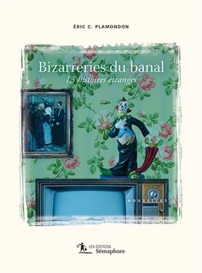 Bizarreries du banal. 13 histoires étranges Bizarreries du banal. 13 histoires étranges
