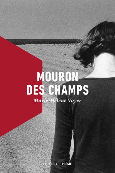 Mouron des champs Mouron des champs