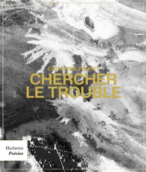 Chercher le trouble Chercher le trouble