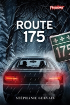 Route 175 (collector) Route 175 (collector)
